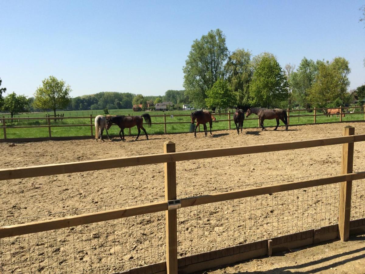 Vakantiehuisje 'T Morehof Oosterzele 外观 照片