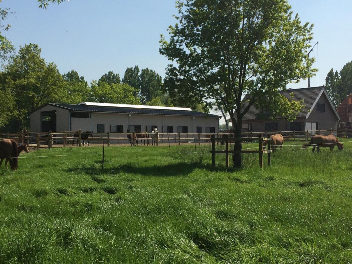 Vakantiehuisje 'T Morehof Oosterzele 外观 照片