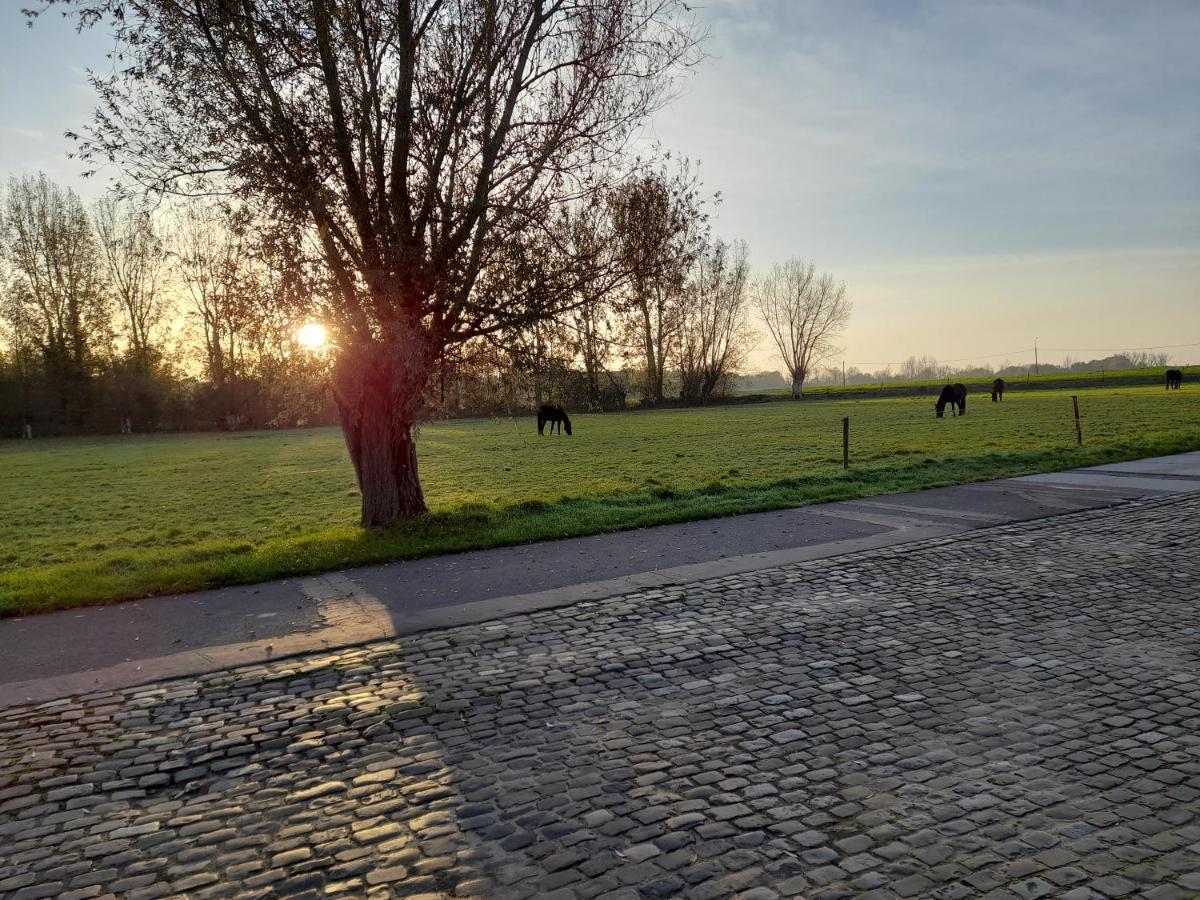 Vakantiehuisje 'T Morehof Oosterzele 外观 照片